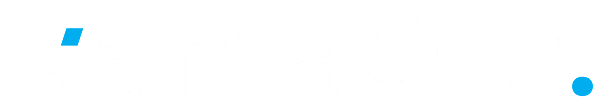 VantaSec Logo